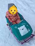 Сани на колесах.