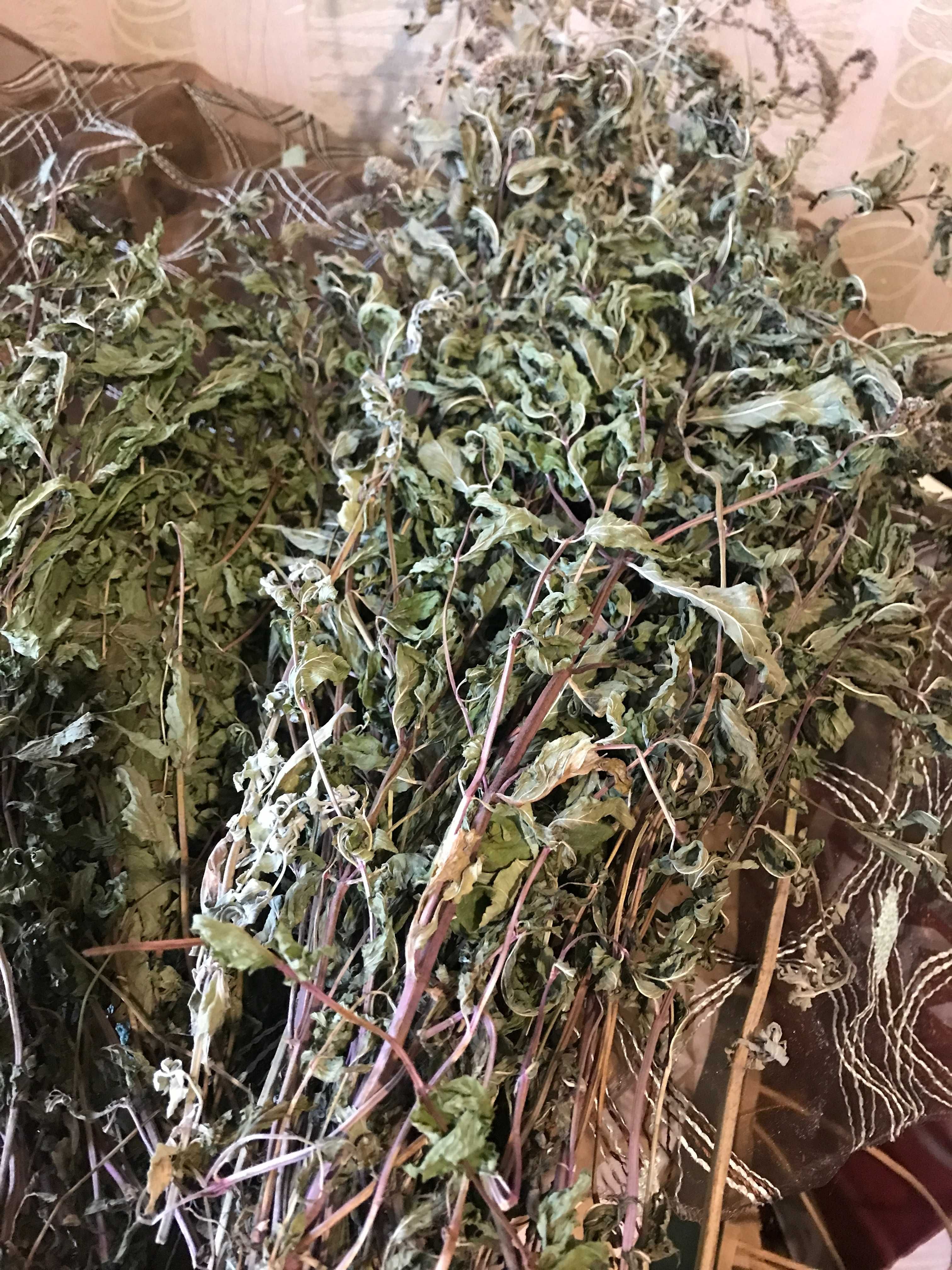 Листья мелиссы и мяты, сушенные .