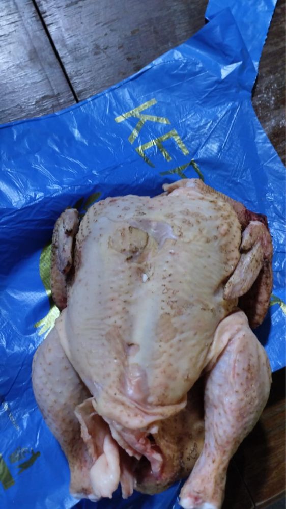 Продаю броллеров на мясо и живьем