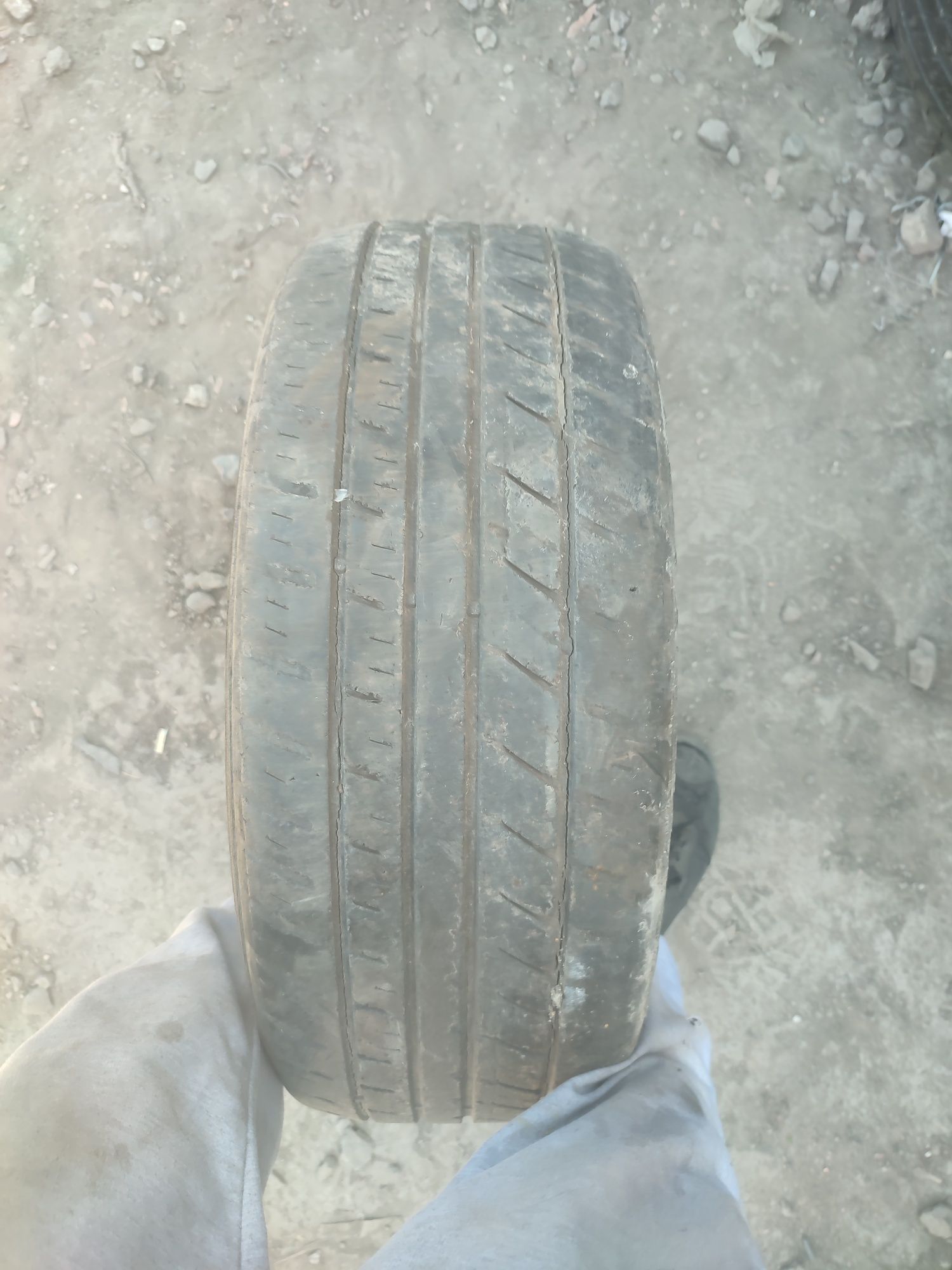 Шина безкамерка размер 215/55 R16