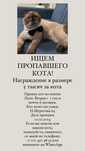 Потерялась кошка