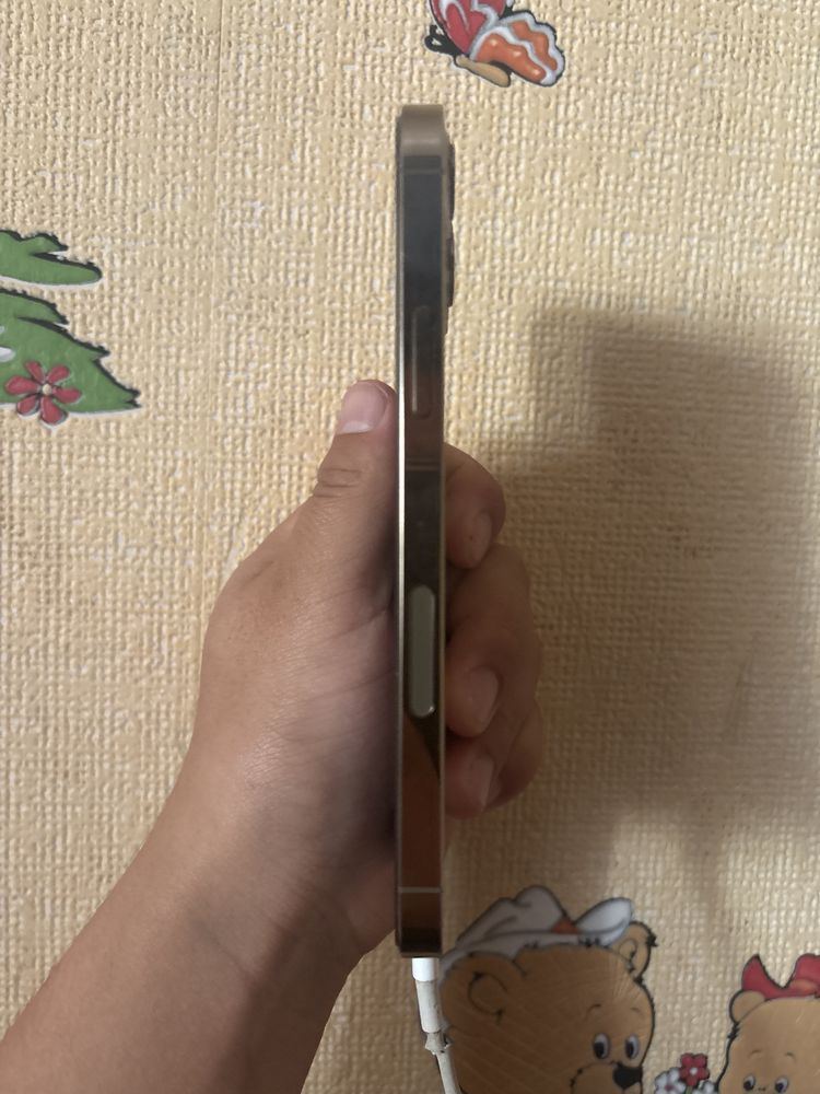 Iphone 12 pro,128 g