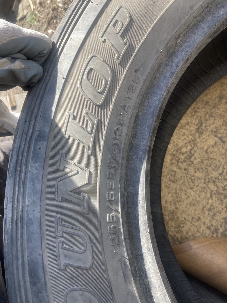 Продам ризину R17