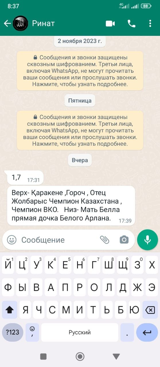 Продам щенят Алабай