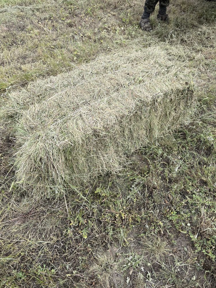 Продаем Сено тюковое разнотравие.(Сено)Тюк