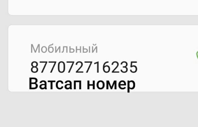Тегин мысык баласын беремин