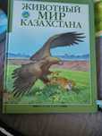 Энциклопедия детский. Разные . Все для детей.