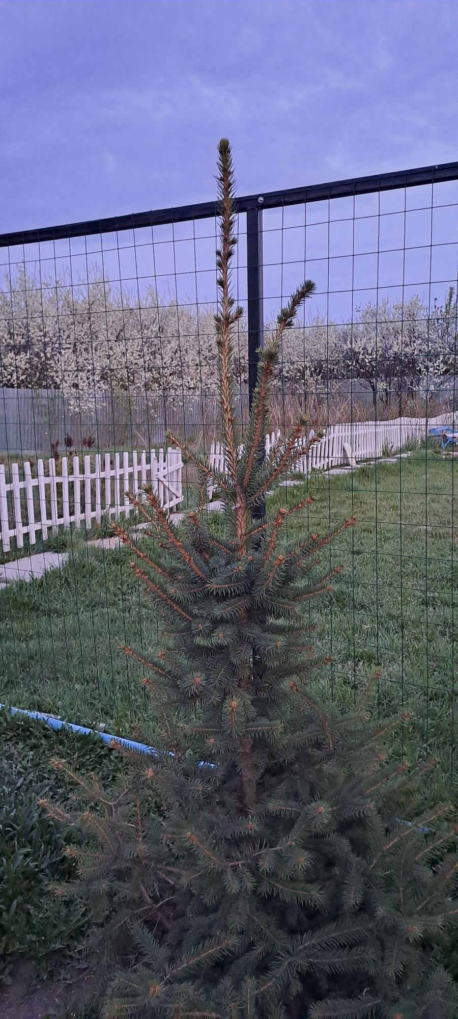 Продам дачу в районе Акжар ск олимпиец 1
