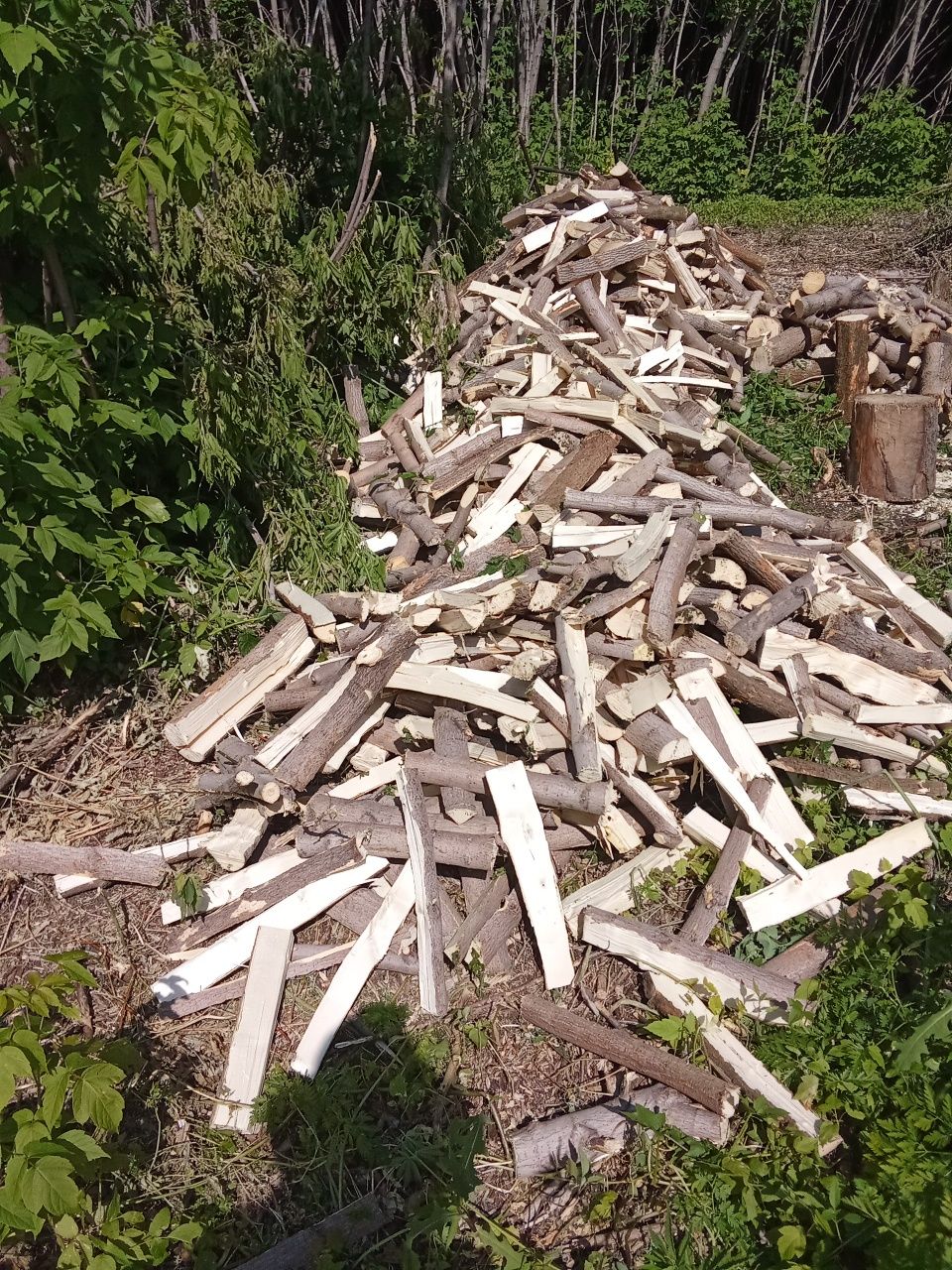 Продам дрова клён.