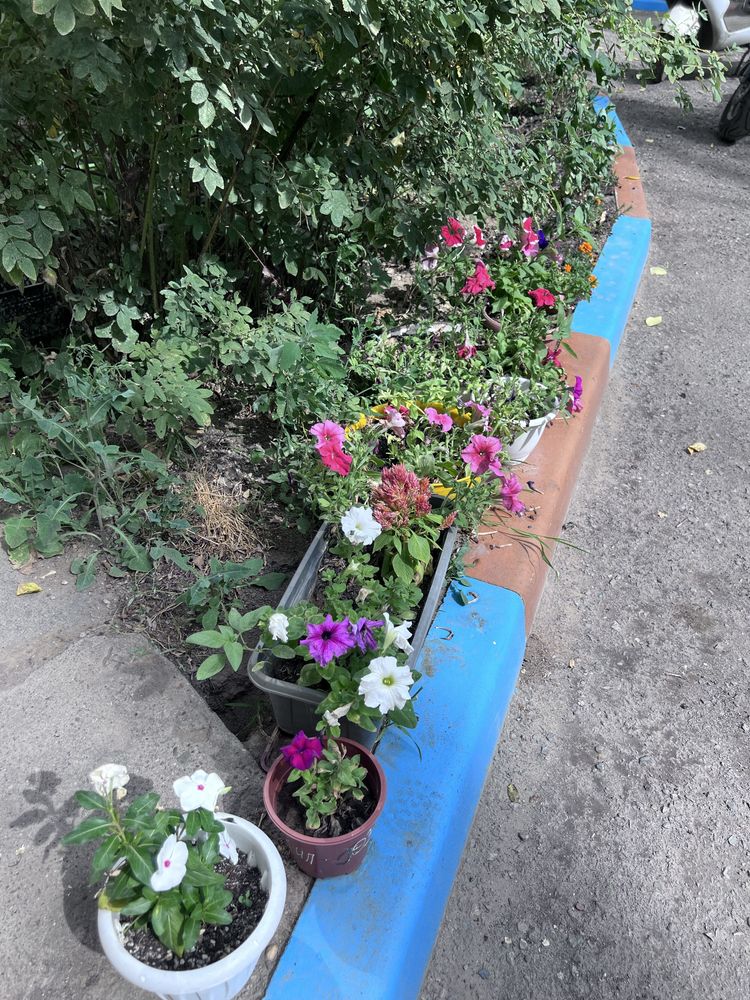 Продам 1 квартиру