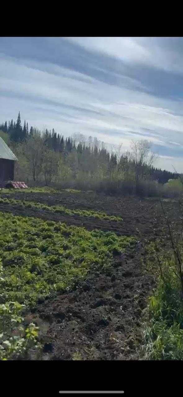 Продам участок 30 соток с домом и баней