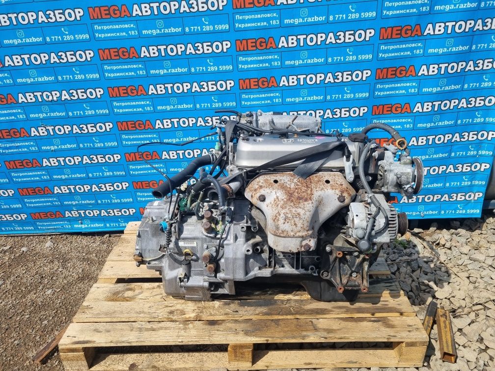 Мотор F22B на хонду.