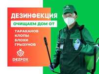 Дезинфексия СЭС Уничтожение Клопов Обработка От Тараканов Крыс Мышей