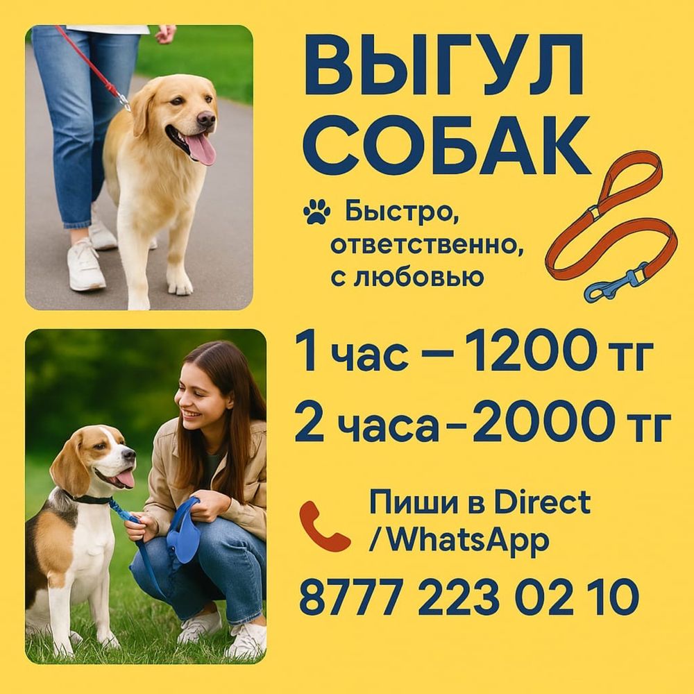 выгул животных в астане