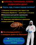 Дезинфекция, дезинсекция. Уничтожение клопов, тараканов и тд