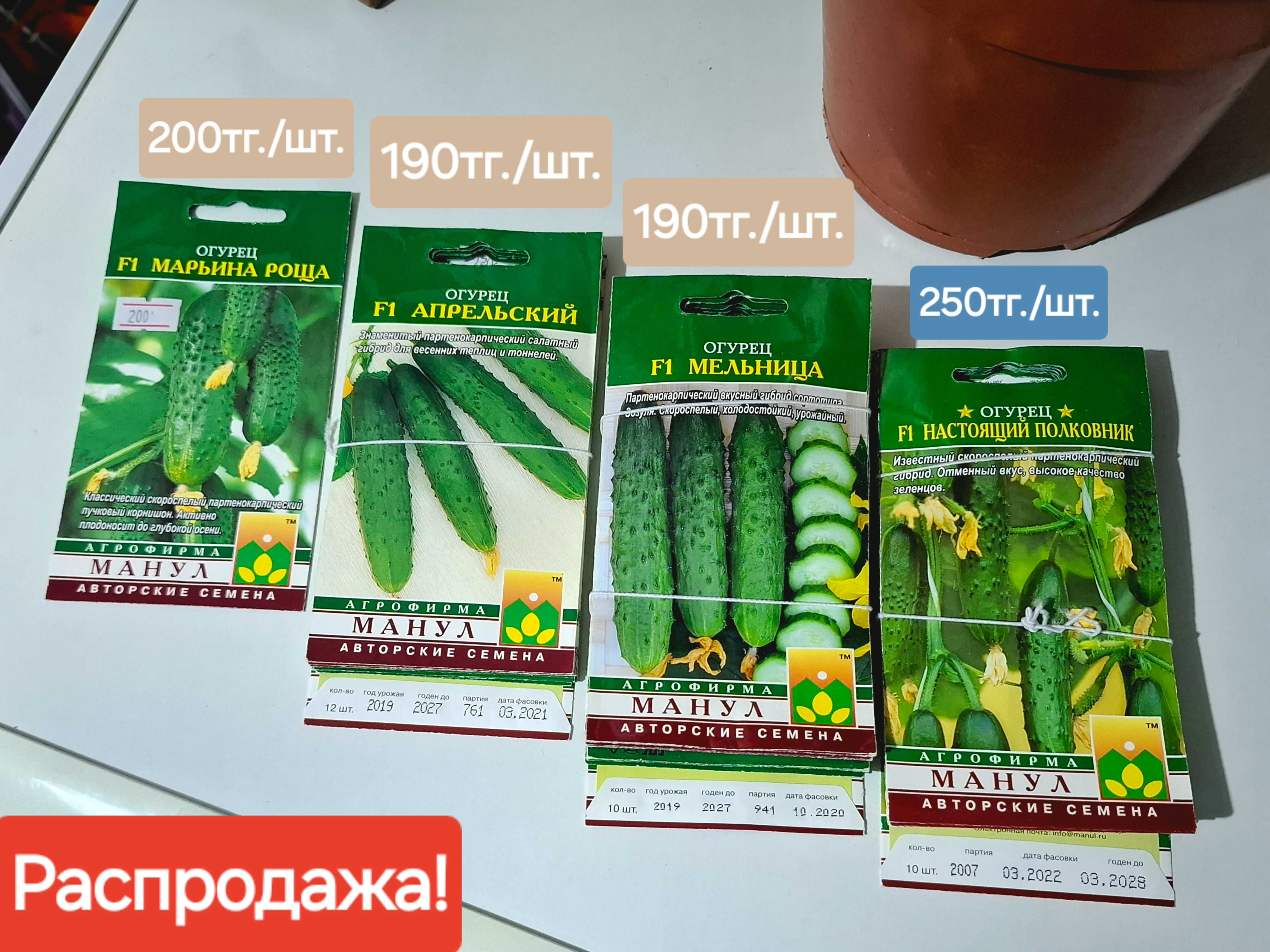 Продаю семяна огурцов!
