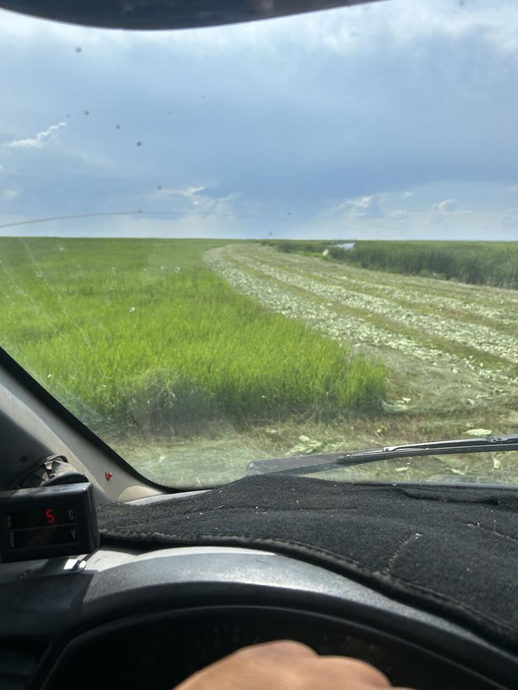 Сено рулон , тюки