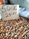 Продам кукурузу по 25 кг