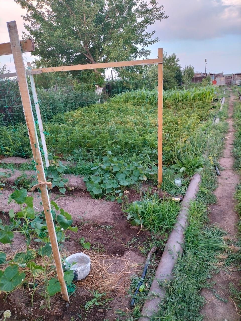 Продам дачу зима лето