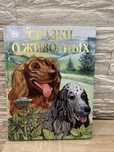 Детские книги книга сказки о животных
