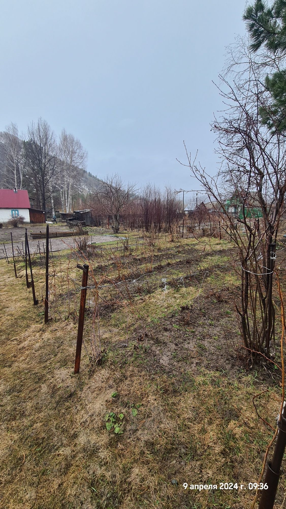 Продам дачу с/о Казахстан огород засажен
