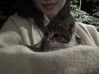 Котенок 1 месяц