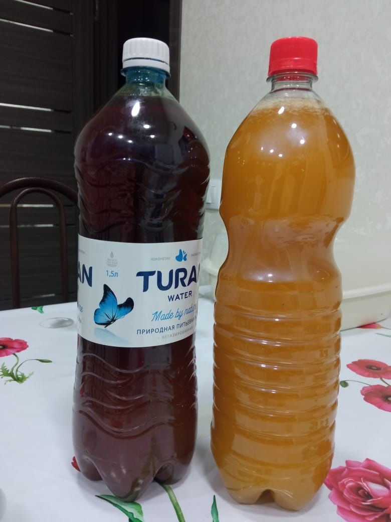 Продам мед с плодового сада