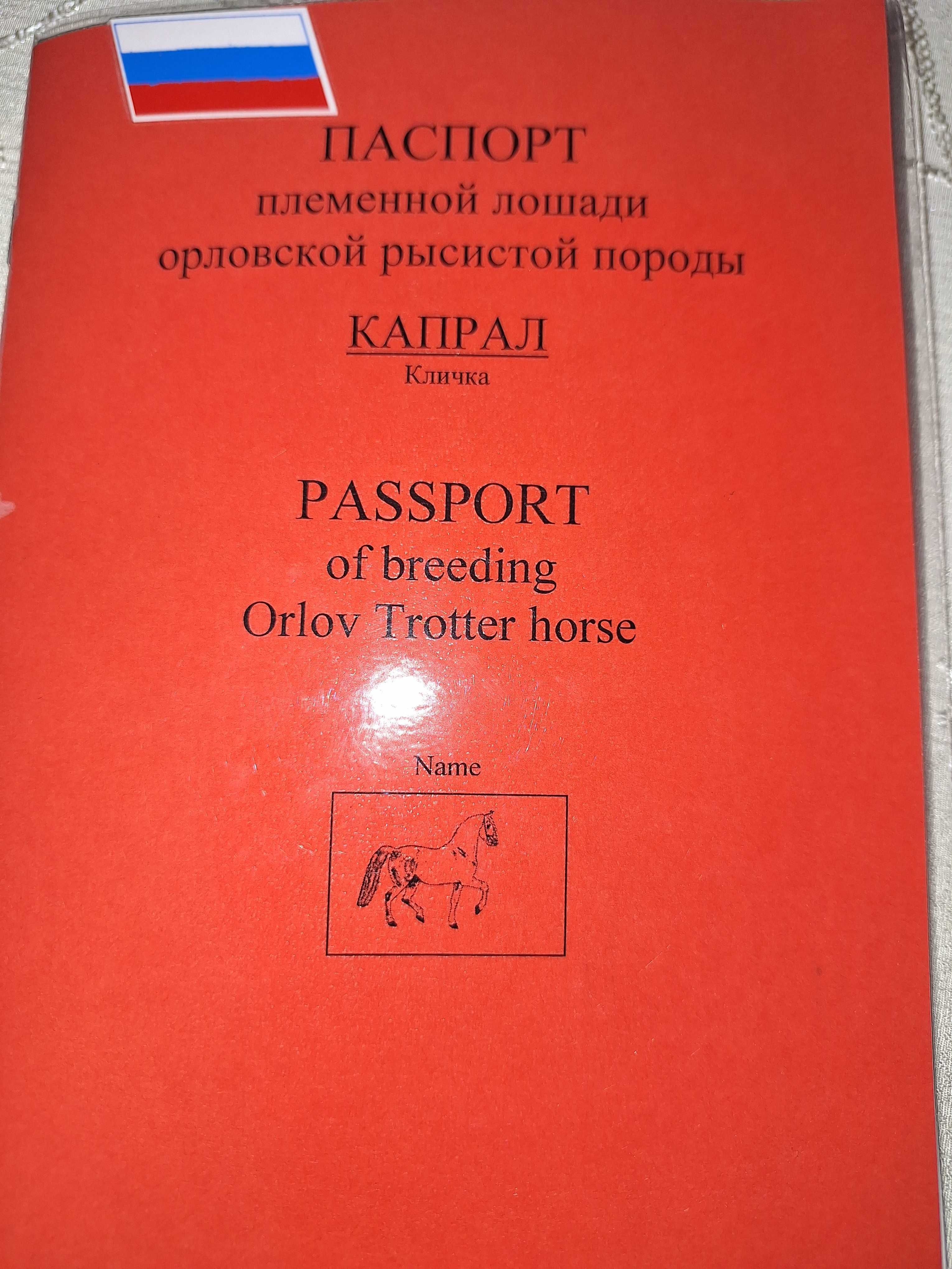 Продам жеребца орловца.