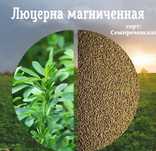 Семена  люцерны