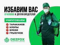 Дезинсекция Дезинфекция Уничтожение Клопов Тараканов Муравьев Вши