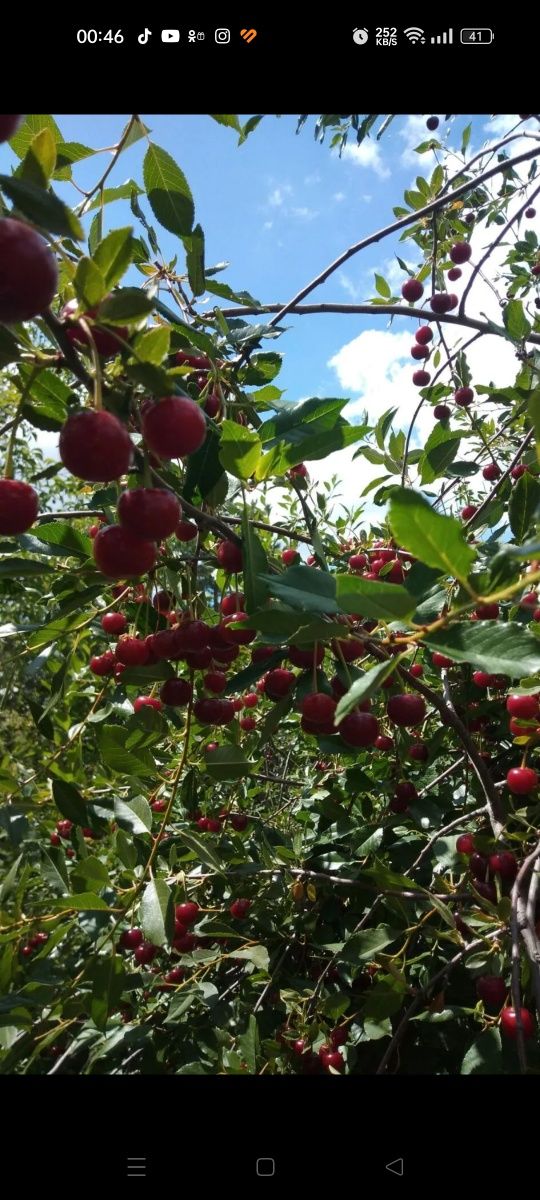 Продам дачу район ГМЗ