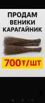 Продаются веники карагайник
