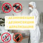Профессионнальная обработка от насекомых, грузынов и вирусов - быстро
