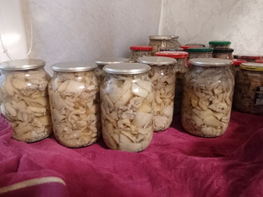 Маринованные грибы