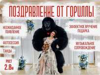 Белый медведь/Кингконг/Мишка Тедди/Поздравления Мишки/Зайка/Аниматоры