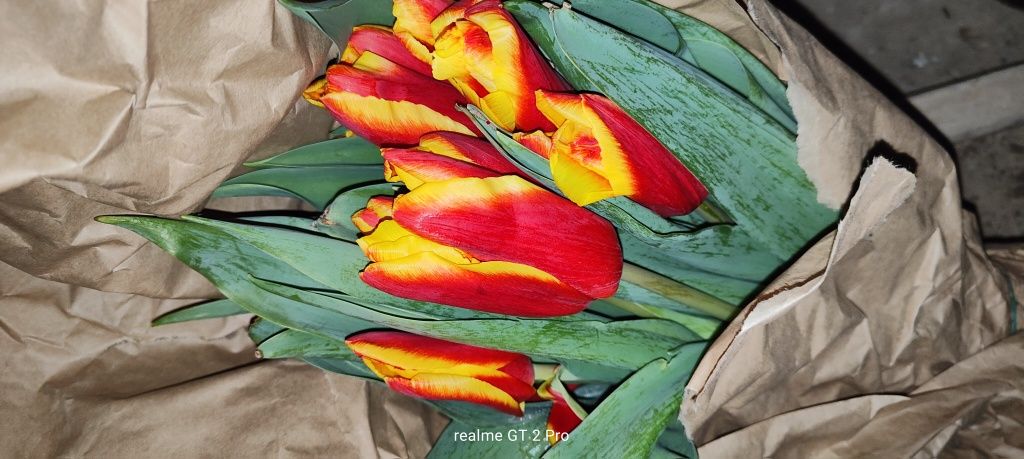 Продам заводские железные диски с шинами от Кобальт на R14.