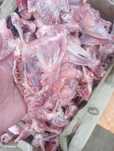 Кости куриные коробка по 1000 тг в коробке от 12 /14 кг доставка есть