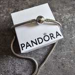 Цепочка на шею под Pandora