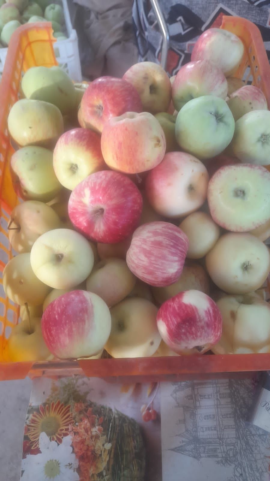 фрукты на продажу