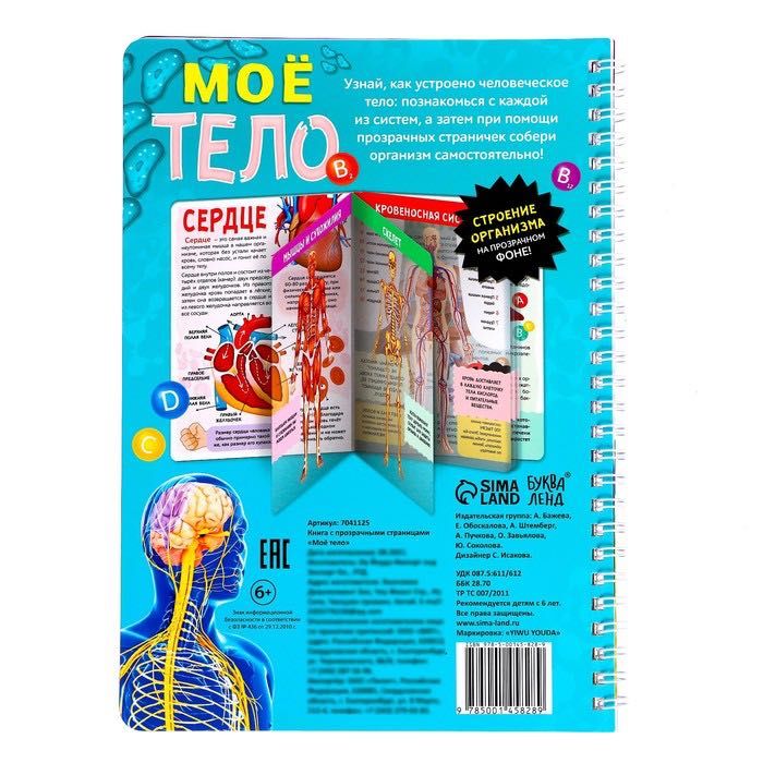 Книга с прозрачными страницами «Моё тело»
