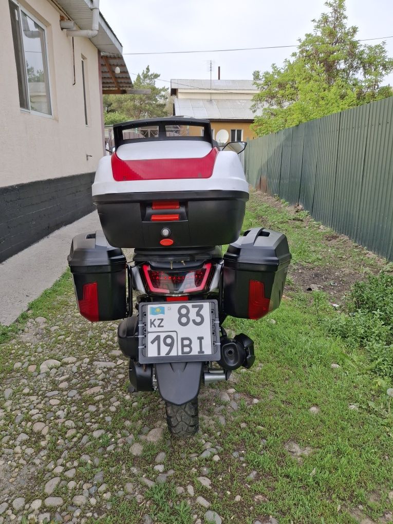 Скутеры Сардар 175 куб