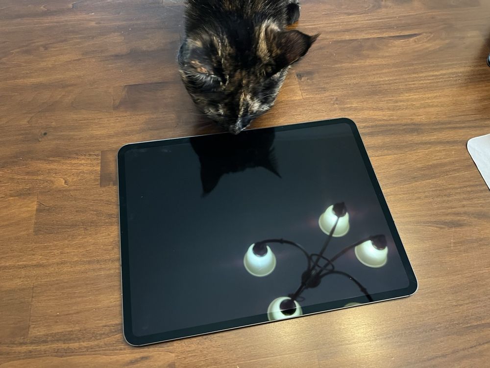 Ipad pro m4 256 wifi + cellular