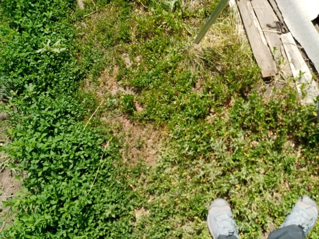 Дача в личной собственности есть документы на землю 12 соток земли  2я