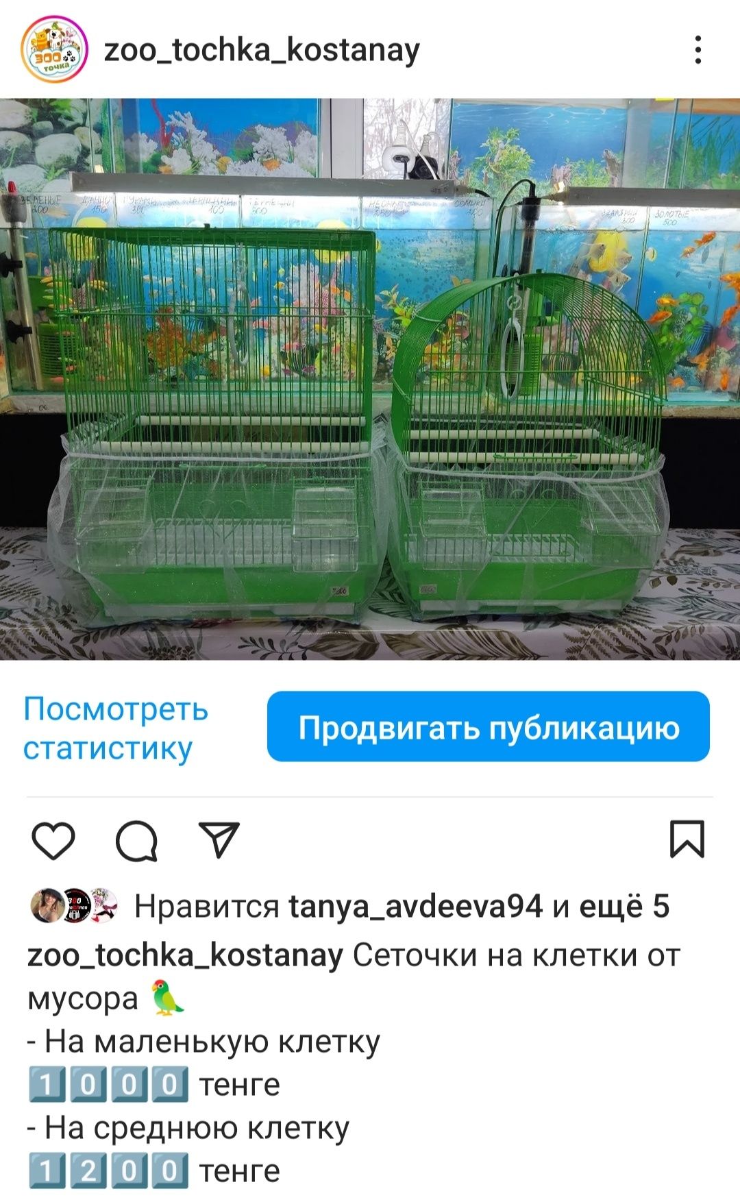 Сеточки на клетку