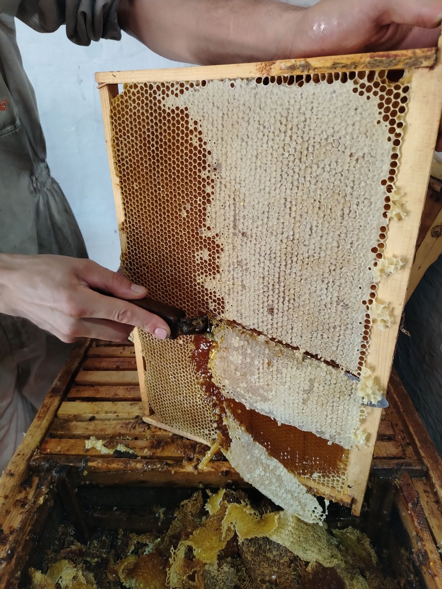 Продам мёд натуральный от крестьянского хозяйства
