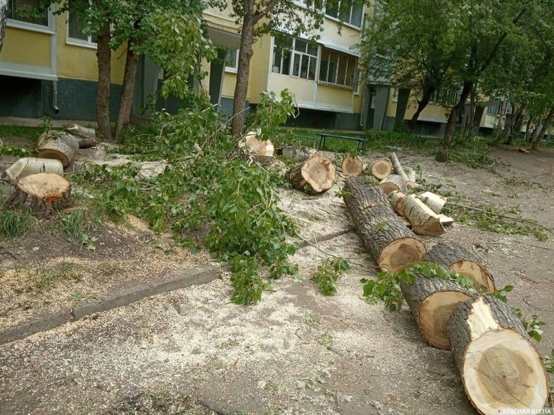Спил деревьев/подрезка веток