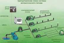 Газон Автополив от нуля до конца