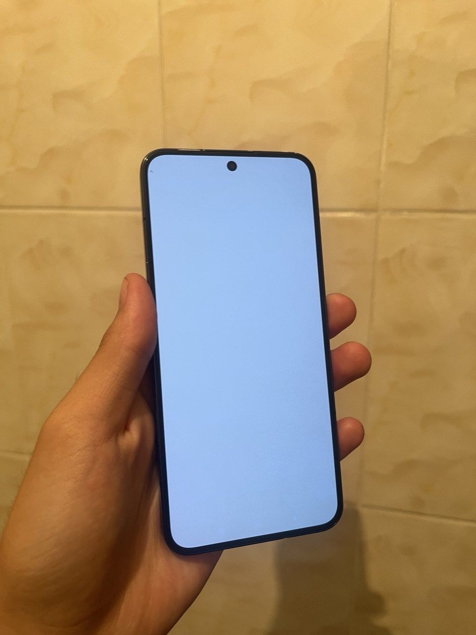 Xiaomi 13 global 12/256