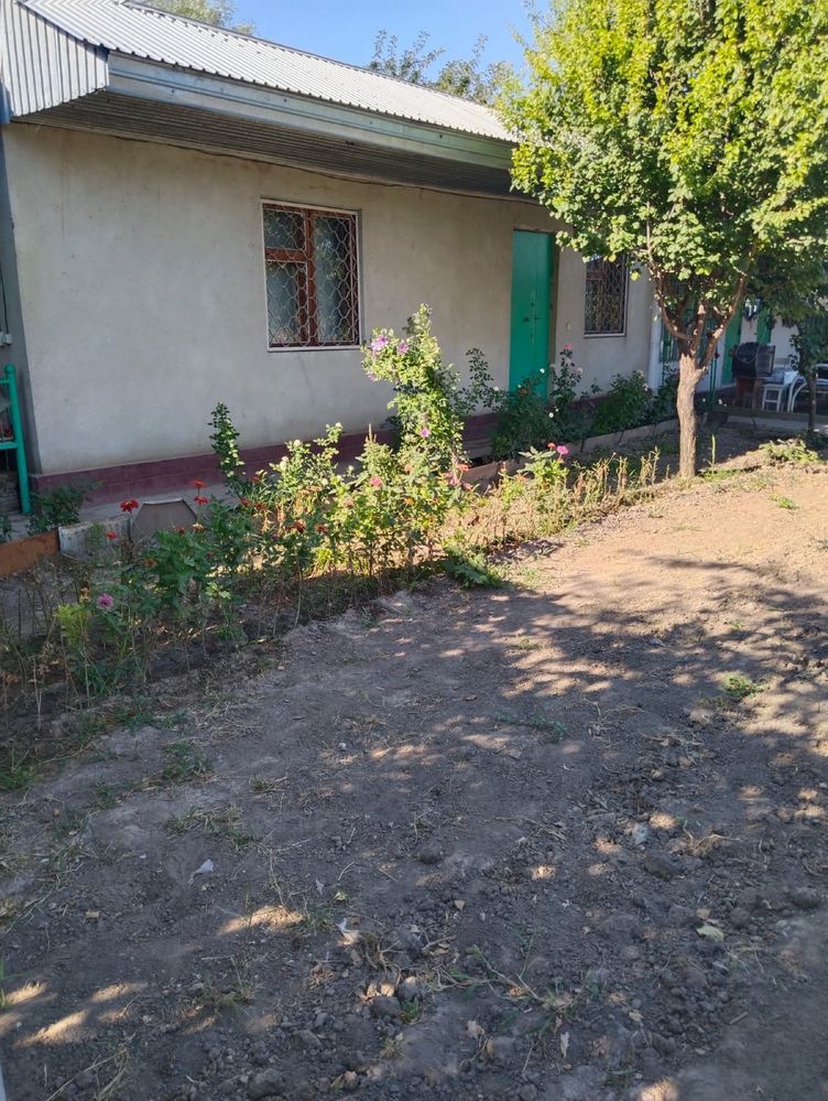 Дача акбулак фазенда