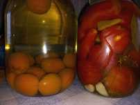 Маринованные помидоры и огурцы